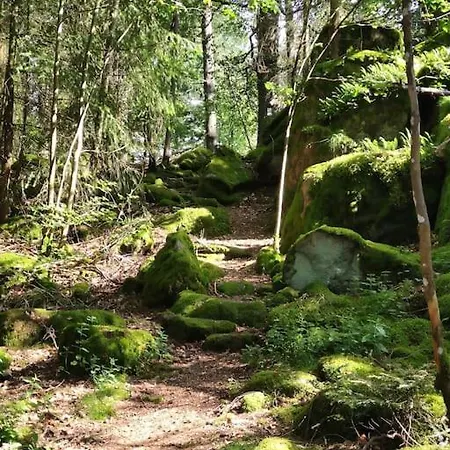 Grosszuegige Zum Wohlfuehlen Mit 116qm Апартаменты Гаггенау